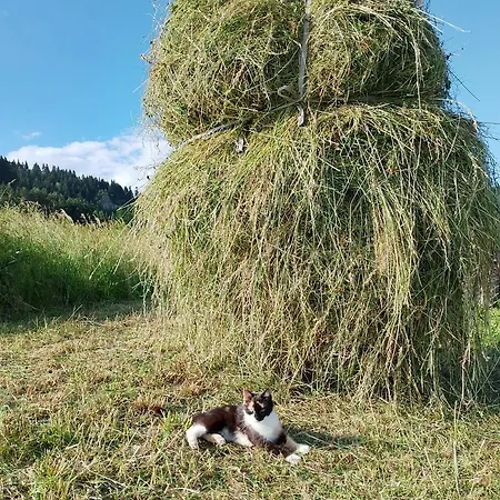 Farm stay Pod Zamczyskiem