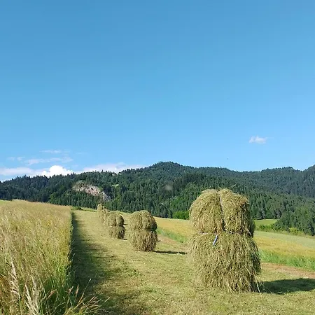 Farm stay Pod Zamczyskiem Sromowce Wyzne