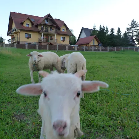 Pod Zamczyskiem Farmház Sromowce Wyżne